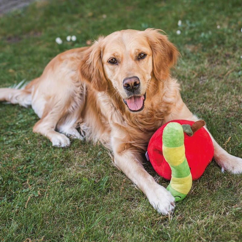 chien qui joue en extérieur avec la peluche de fouille pour chien pomme et asticot beetzees