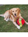 chien qui joue en extérieur avec la peluche de fouille pour chien pomme et asticot beetzees