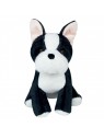 Peluche pour chien Bouledogue Doogy de face