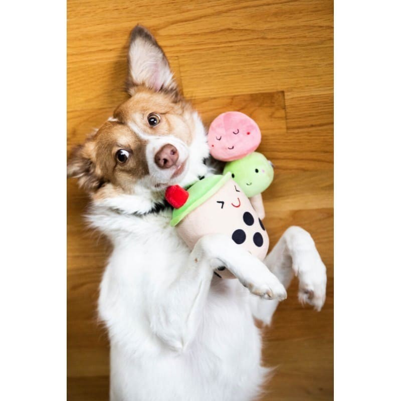 chien avec le lot de 2 peluches pour chien sonores milkshake pearhead