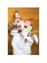 chien avec le lot de 2 peluches pour chien sonores milkshake pearhead