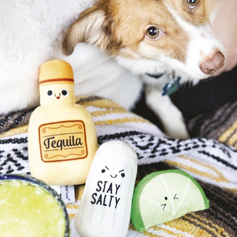 chien avec le lot de 3 peluches pour chien tequila sonores pearhead