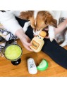 session de jeu interactif avec le lot de 3 peluches pour chien tequila sonores pearhead