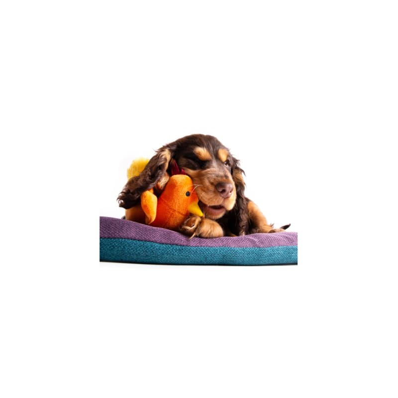 chien avec peluche pour chien coq orange martin sellier