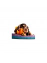 chien avec peluche pour chien coq orange martin sellier