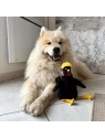 chien avec peluche pour chien coq noir martin sellier