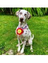 grand chien avec la peluche pour chien médaille collection les frenchies martin sellier
