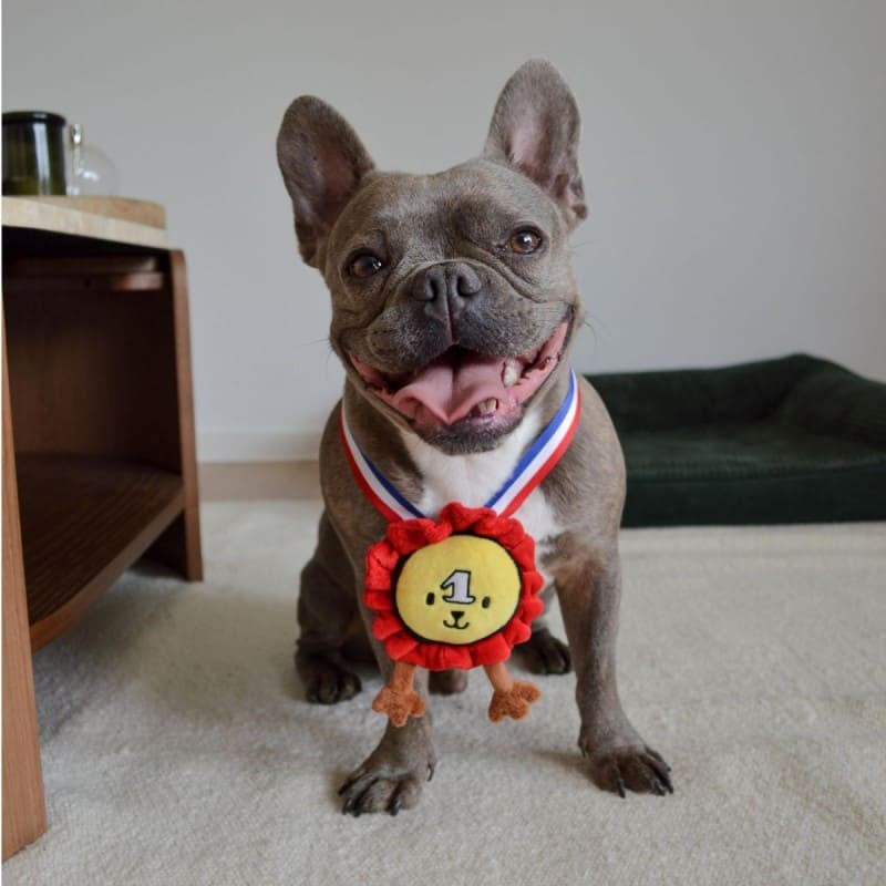chien moyen avec peluche pour chien médaille collection les frenchies martin sellier