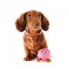 chien avec la peluche pour chien macaron collection les frenchies martin sellier