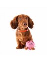 chien avec la peluche pour chien macaron collection les frenchies martin sellier