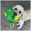 chien avec peluche pour chien cozie tuggz alligator kong