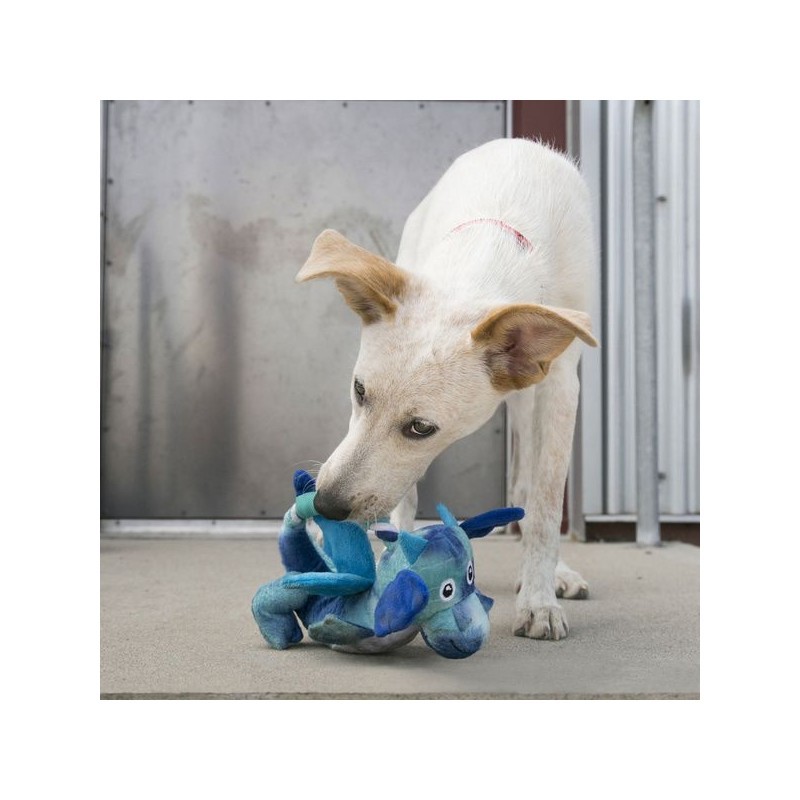 chien avec la peluche pour chien dragon knots kong