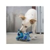 chien avec la peluche pour chien dragon knots kong