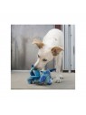 chien avec la peluche pour chien dragon knots kong