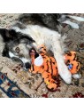 chien avec peluche pour chien wild knots tigre kong