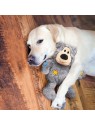 chien avec la peluche pour chien wild ours knots kong