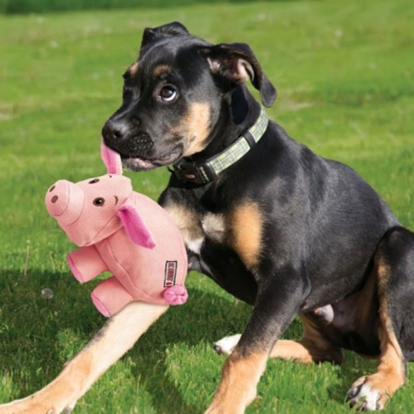 chien dans l'herbe avec la peluche pour chien phatz cochon kong