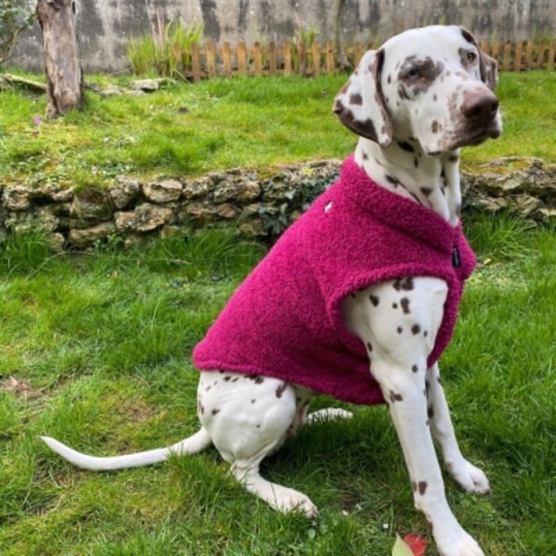 chien de profil portant la polaire pour chien framboise Douillette MARTIN SELLIER