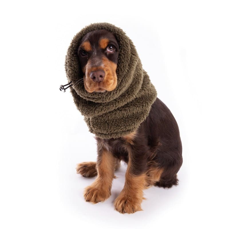 chien portant le snood pour chien kaki douillet martin sellier