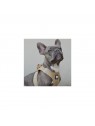 chien avec le harnais pour chien beige mesh MARTIN SELLIER
