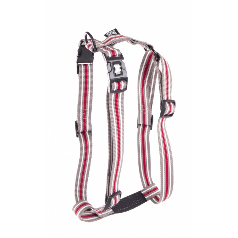 harnais pour chien trio gris martin sellier