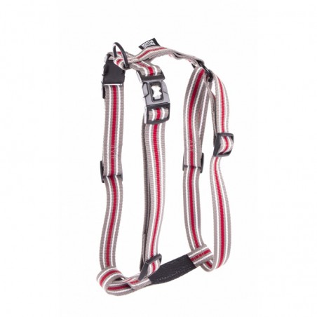 harnais pour chien trio gris martin sellier