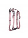 harnais pour chien trio gris martin sellier