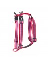 harnais pour chien trio rouge martin sellier