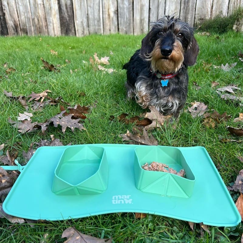 Chien sur l'herbe avec la gamelle pour chien double pliable en silicone verte MARTIN SELLIER