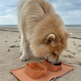 Chien sur une plage avec la gamelle pour chien double pliable en silicone orange MARTIN SELLIER