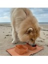 Chien sur une plage avec la gamelle pour chien double pliable en silicone orange MARTIN SELLIER