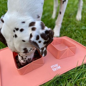 Chien qui mange sur l'herbe dans la gamelle pour chien double pliable en silicone rose MARTIN SELLIER