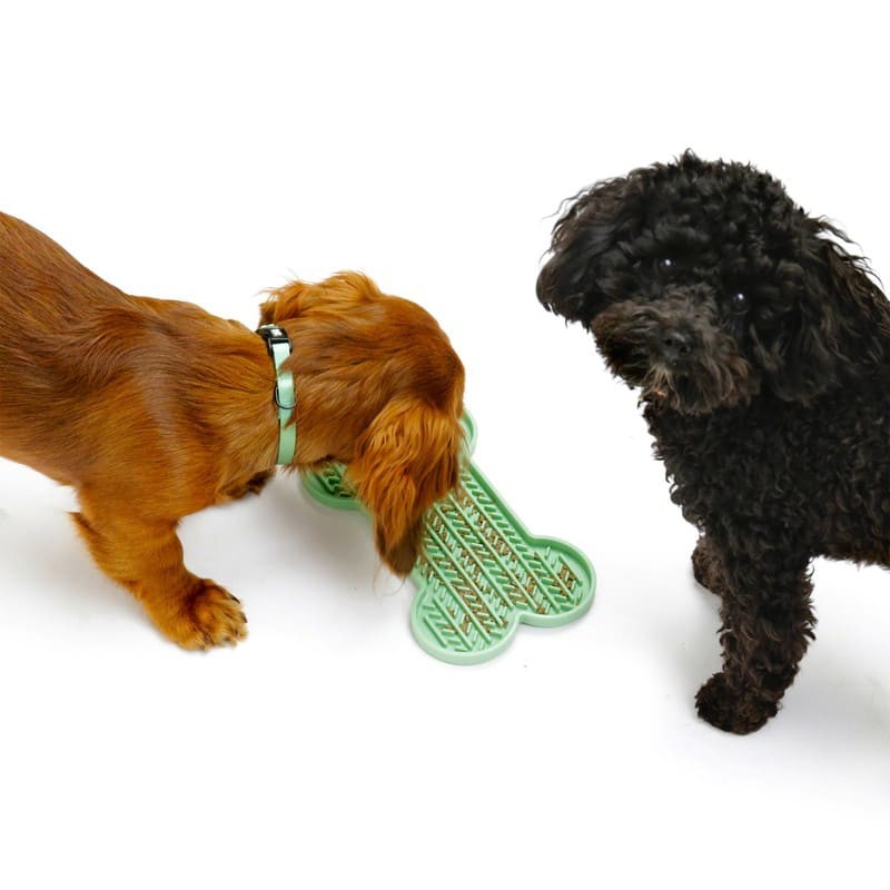 Chiens avec le tapis de léchage pour chien vert en silicone os MARTIN SELLIER