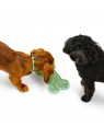 Chiens avec le tapis de léchage pour chien vert en silicone os MARTIN SELLIER