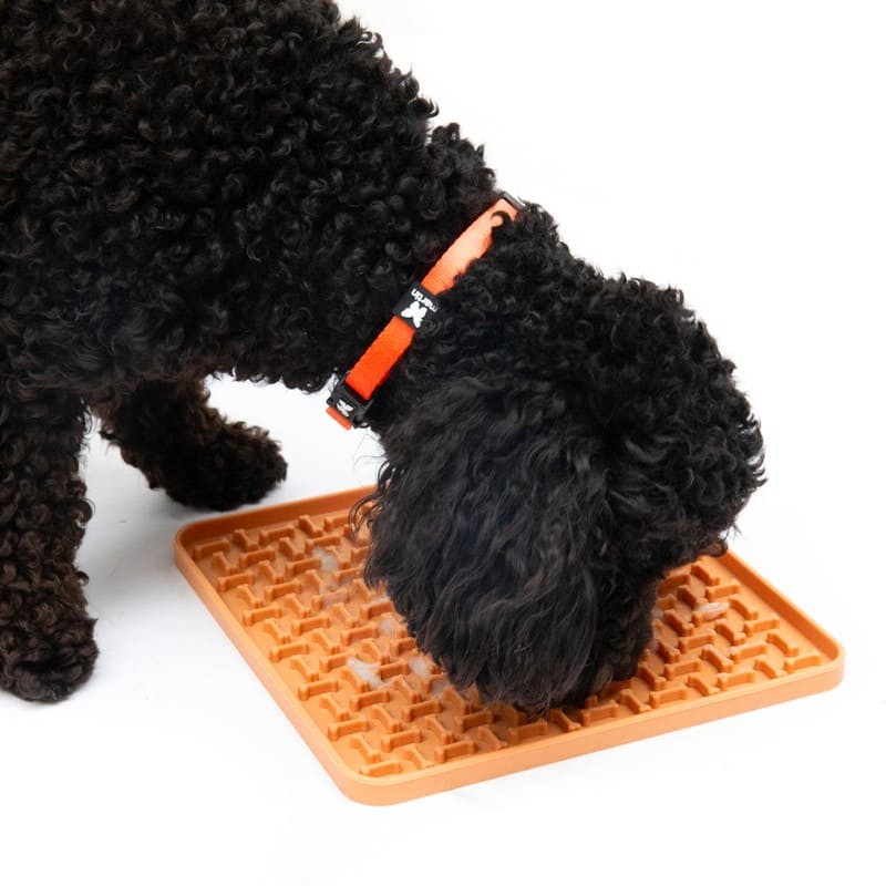 Chien qui lèche le Tapis de léchage pour chien orange en silicone carré MARTIN SELLIER