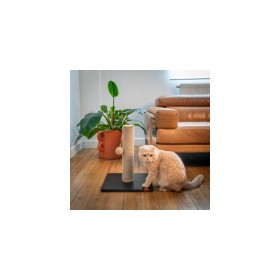 chat qui joue avec le griffoir pour chat relaxation sisal sensation vietnam martin sellier