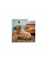 chat qui joue avec le griffoir pour chat relaxation sisal sensation vietnam martin sellier