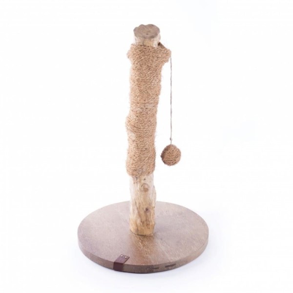 griffoir pour chat en bois de caféier martin sellier