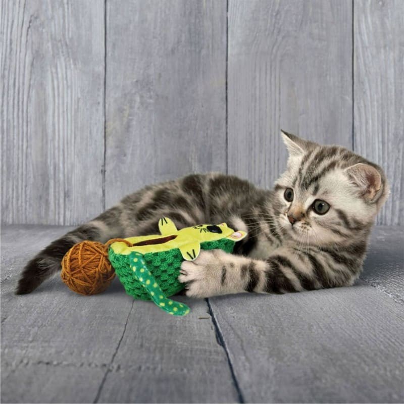 chat qui joue avec le jouet pour chat wrangler avocato kong