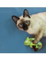 chat qui joue avec le jouet pour chat refillables chameleon kong