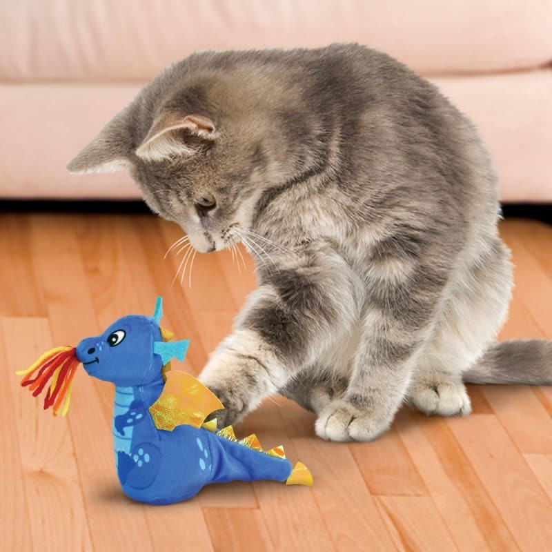 chat qui joue avec le jouet pour chat enchanted dragon kong