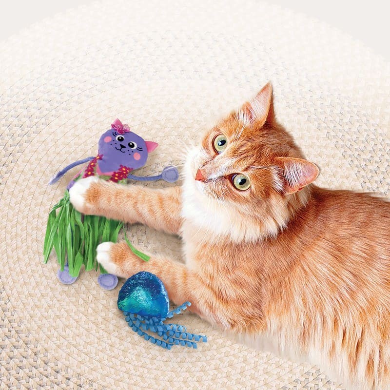 chat qui joue avec le jouet pour chat Tropics Hula KONG