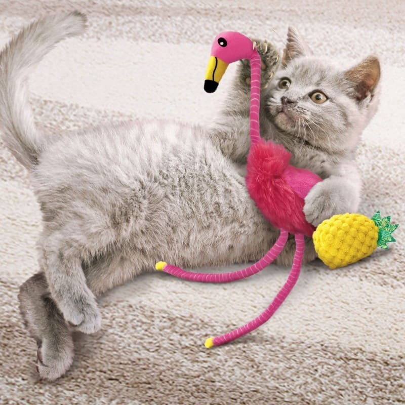chat qui joue avec le jouet pour chat tropics flamingo KONG