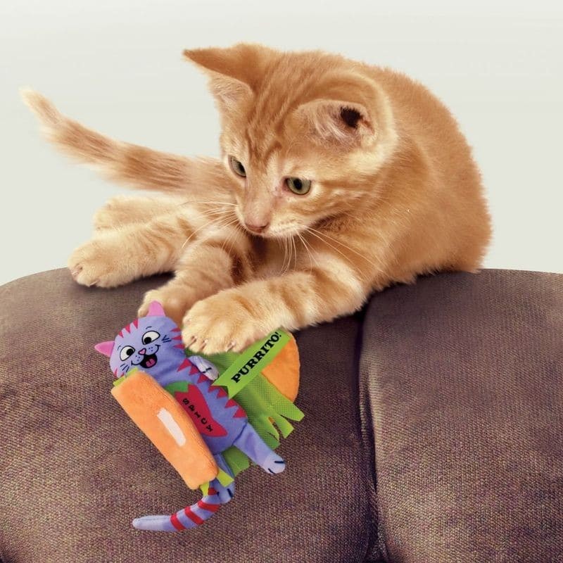 chat qui joue avec le jouet pour chat pull a partz purrito kong