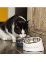 chat avec la gamelle pour chat blanche my favorite cat designed by lotte