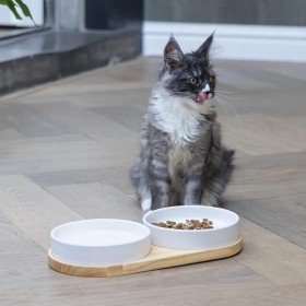 chat devant la gamelle pour chat en céramique dinner set LOJS designed by lotte