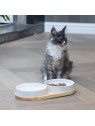 chat devant la gamelle pour chat en céramique dinner set LOJS designed by lotte
