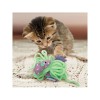 chat qui joue avec le jouet pour chat tropics flamingo KONG