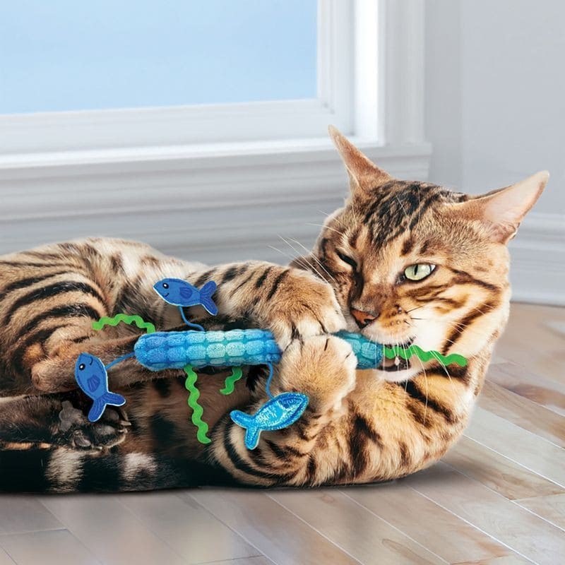 chat qui joue avec le Jouet pour chat kickeroo stickaroo kong
