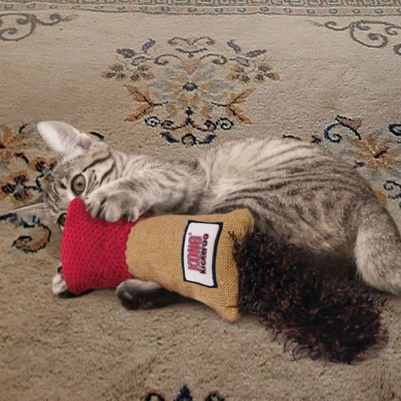 chat qui joue avec le jouet pour chat kickeroo cuddler kong